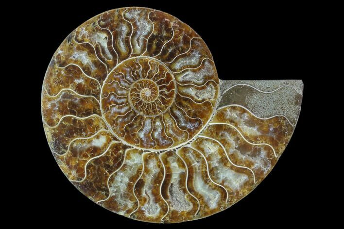 Agatized Ammonite Fossil (Half) - Madagascar #88175